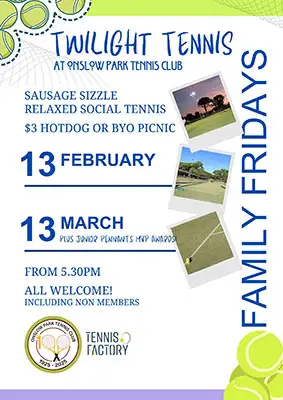 Family Fridays flyer