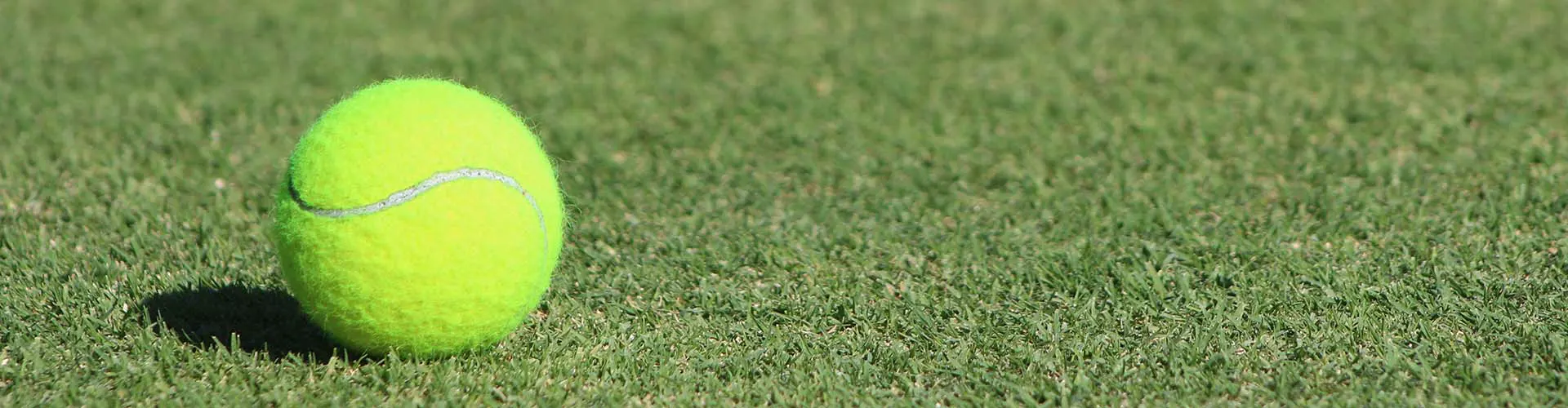 Tennis ball on grass court