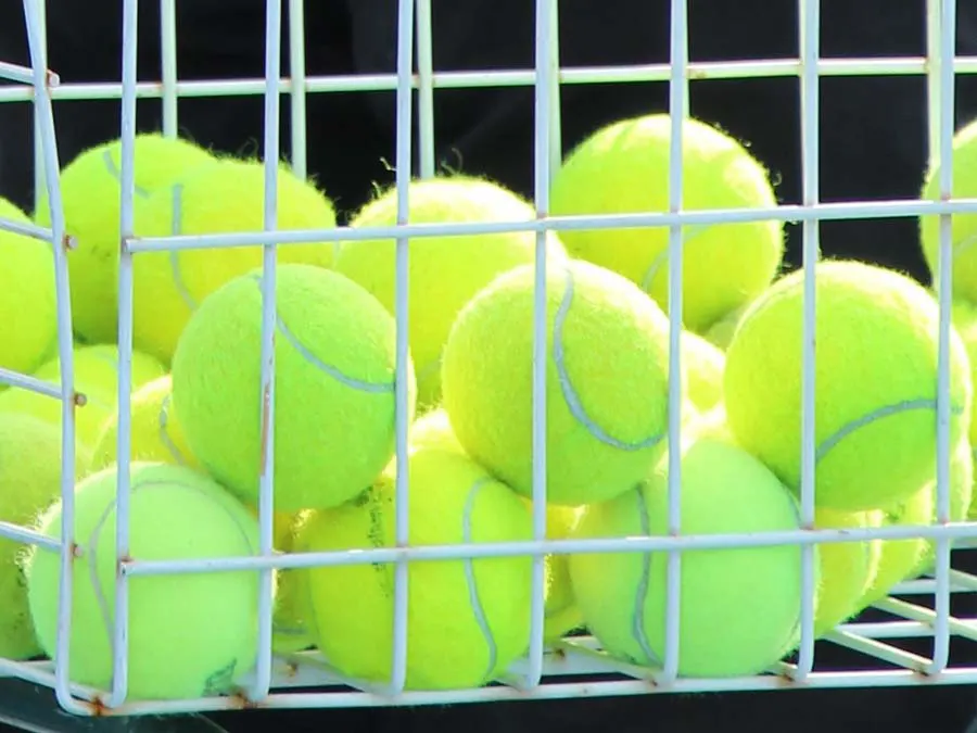 tennis balls in basket